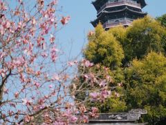 -重庆园博园