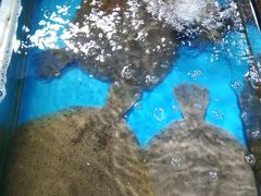 -海云庵农贸市场