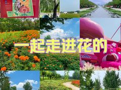 -北京国际鲜花港