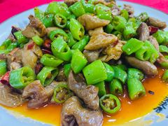 尖椒肥肠-蜀膳坊(洪公祠小区店)