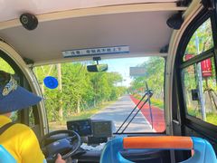 -上海长兴岛郊野公园