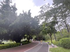 -南宁南湖公园
