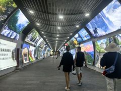 -刘伯温故里景区百丈漈