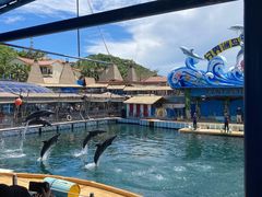 -海南分界洲岛旅游区