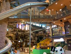 点击看大图 -卡通尼·Safari非洲探索乐园·生日会(金桥国际商业广场店)