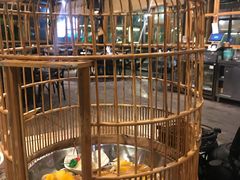 -花溪雨·森林餐厅(石基店)