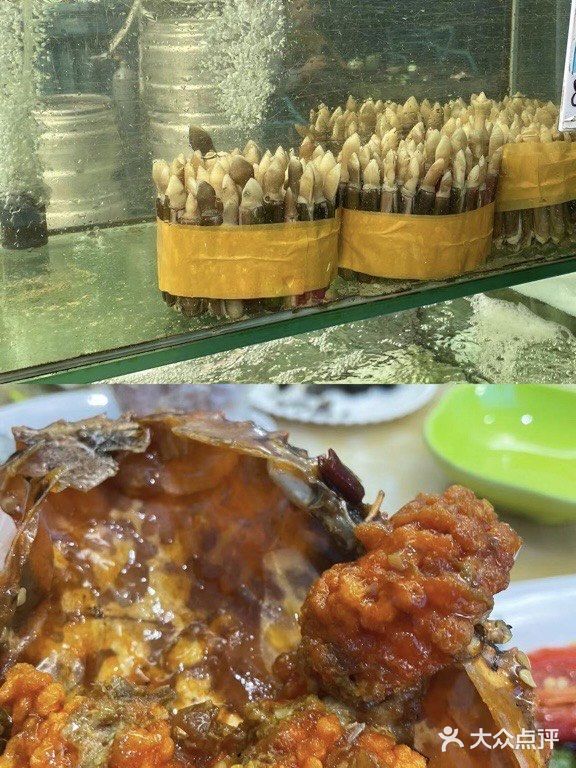 补充能量的海鲜店铺-小海豚海鲜