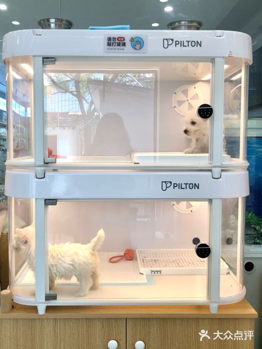 翊宠yipet猫狗购宠庄园图片
