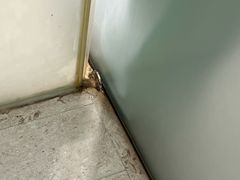 -深圳皇庭V酒店