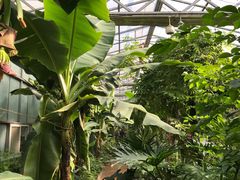 -呀路古热带植物园