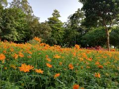 -西关84·History·Art·Cafe