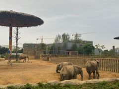 -杭州野生动物世界