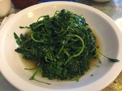 iphone_upload_pic-新聚丰菜馆(太监弄店)
