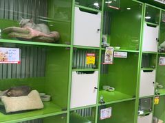 -唐小姐の猫狗洗护·购宠旗舰店(周浦万达店)