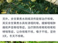 -甘尼仕印度餐厅爵士酒吧(阳春巷店)