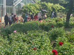 -北京植物园南门售票处