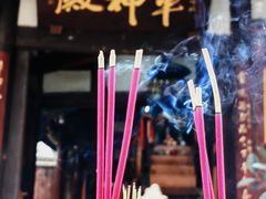 -子昂故里文化旅游区
