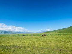 -新疆那拉提国家旅游度假区