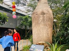 -北京植物园-展览温室