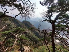 -关门山森林公园