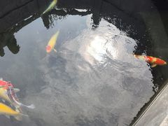 -西安市广仁寺
