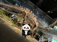 -自贡恐龙博物馆