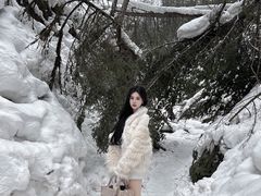 -峡谷浮石林景区