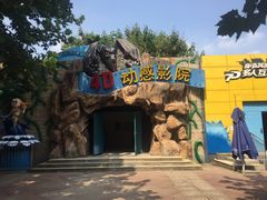 -朝阳公园游乐园