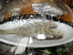 -黄寺蒸汽海鲜(黄寺大街店)