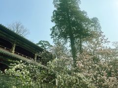 -潭柘寺景区