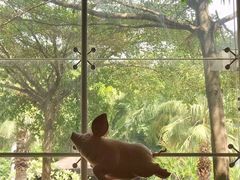 -佰园全日西餐厅-厦门佰翔软件园酒店