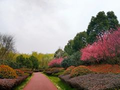 -滨湖塘西河公园