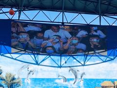 -石林冰雪海洋世界