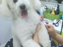 -惠康宠物医院(华能路店)