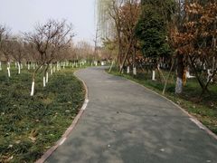 -白鹭湾湿地公园