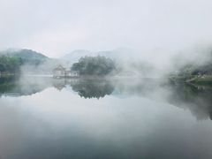 -庐山风景区花径公园