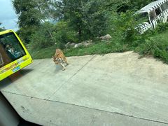-西安秦岭野生动物园