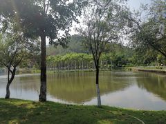 -北京师范大学(珠海校区)