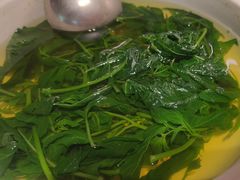-滇铺子·云南特色菜·第九届野生菌美食节(东风东路c86店)
