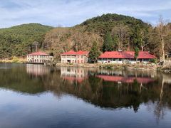 -庐山风景区花径公园