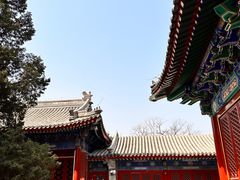 -北京艺术博物馆(万寿寺)