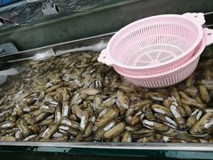 -盒马鲜生(大成店)