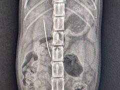 -爱诺耐芙动物医院(万博店)