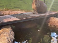 -海合安武汉极地海洋公园