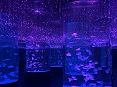 -哈尔滨波塞冬海底世界