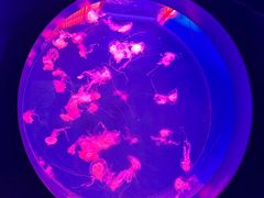 -多彩贵州城极地海洋世界