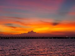 -宝安西湾红树林湿地公园