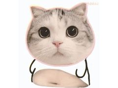 -来噻布布 Lets BUBU