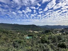 -大姆山草场