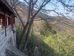 -千佛山风景名胜区
